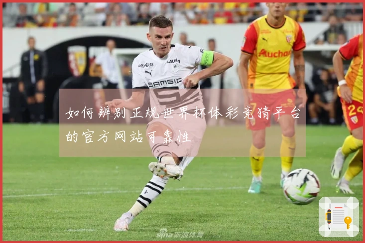 如何辨别正规世界杯体彩竞猜平台的官方网站可靠性