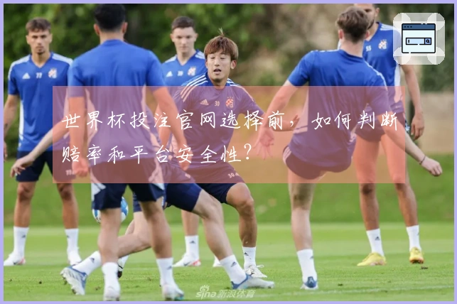 世界杯投注官网选择前，如何判断赔率和平台安全性？