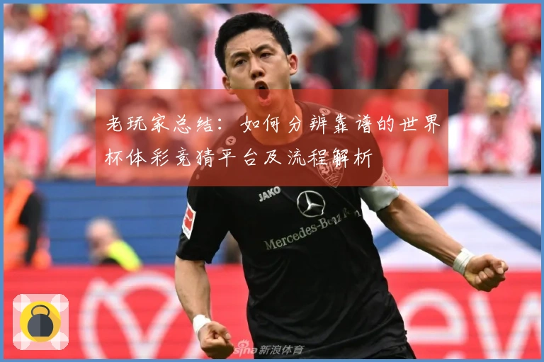 老玩家总结：如何分辨靠谱的世界杯体彩竞猜平台及流程解析