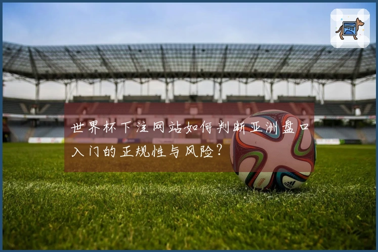 世界杯下注网站如何判断亚洲盘口入门的正规性与风险？
