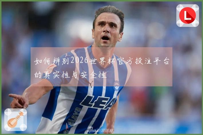 如何辨别2026世界杯官方投注平台的真实性与安全性