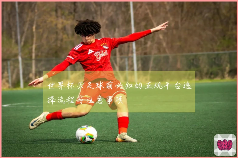 世界杯买足球前必知的正规平台选择流程与注意事项