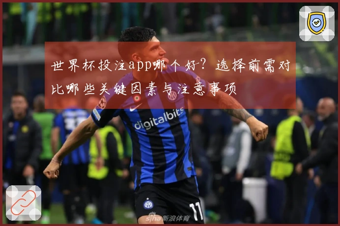 世界杯投注app哪个好？选择前需对比哪些关键因素与注意事项