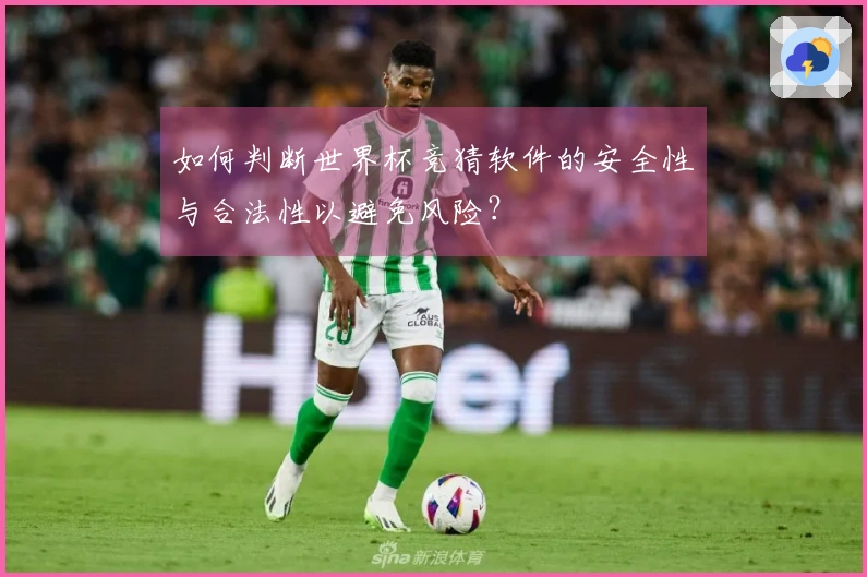 如何判断世界杯竞猜软件的安全性与合法性以避免风险？