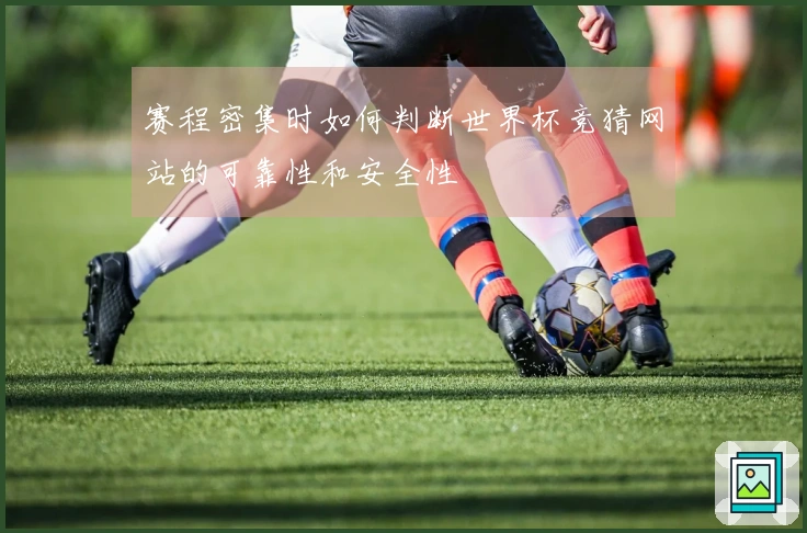 赛程密集时如何判断世界杯竞猜网站的可靠性和安全性