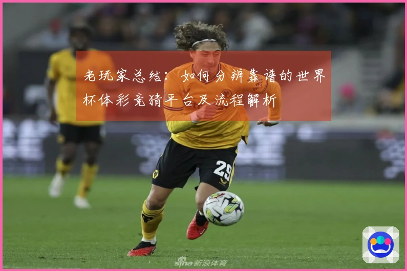 老玩家总结:如何分辨靠谱的世界杯体彩竞猜平台及流程解析