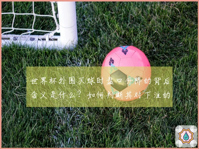 世界杯外围买球时盘口升降的背后含义是什么？如何判断其对下注的影响？
