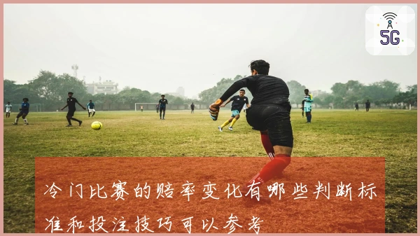 冷门比赛的赔率变化有哪些判断标准和投注技巧可以参考