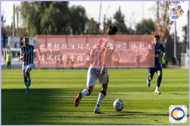 世界杯投注站怎么买盘口？体彩竞猜流程新手指南