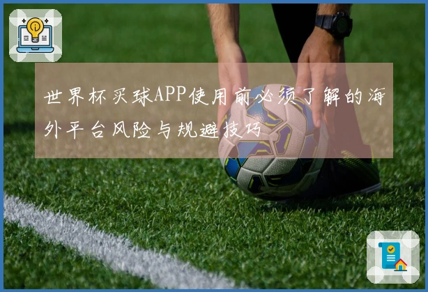 世界杯买球APP使用前必须了解的海外平台风险与规避技巧