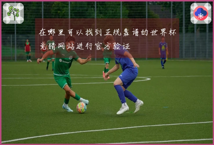 在哪里可以找到正规靠谱的世界杯竞猜网站进行官方验证