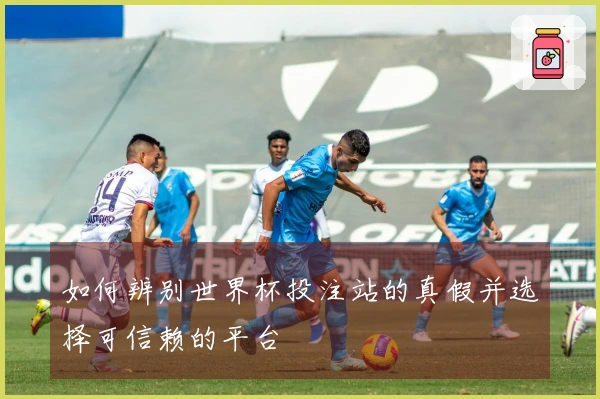 如何辨别世界杯投注站的真假并选择可信赖的平台