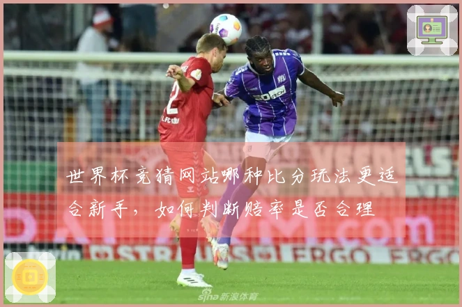 世界杯竞猜网站哪种比分玩法更适合新手,如何判断赔率是否合理