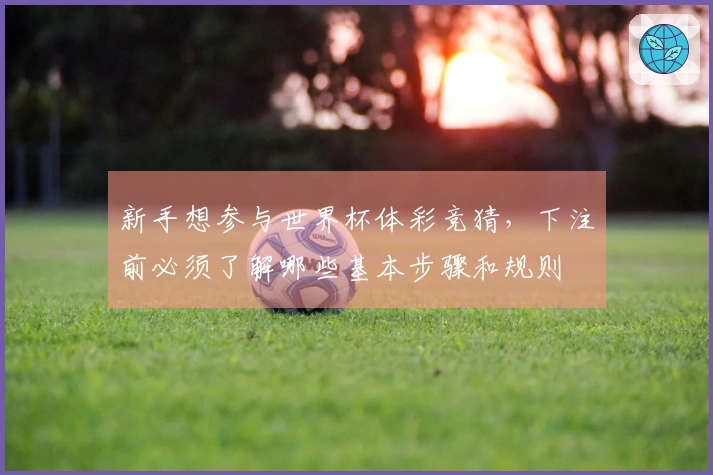 新手想参与世界杯体彩竞猜，下注前必须了解哪些基本步骤和规则