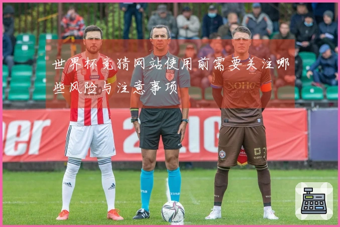 世界杯竞猜网站使用前需要关注哪些风险与注意事项