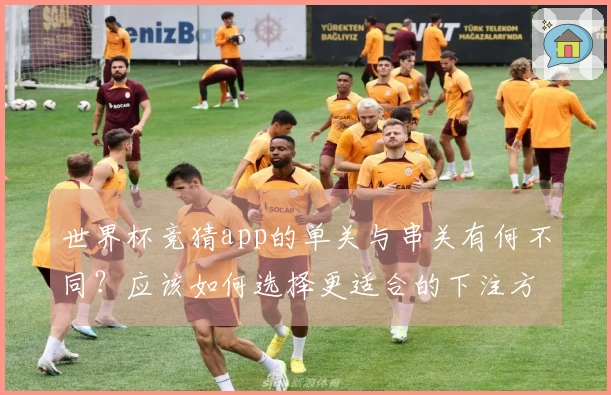 世界杯竞猜app的单关与串关有何不同？应该如何选择更适合的下注方式？