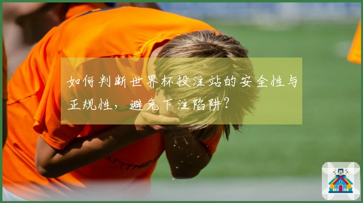 如何判断世界杯投注站的安全性与正规性，避免下注陷阱？