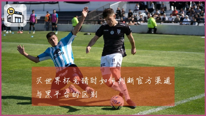 买世界杯竞猜时如何判断官方渠道与黑平台的区别