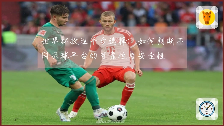 世界杯投注平台选择：如何判断不同买球平台的可靠性与安全性