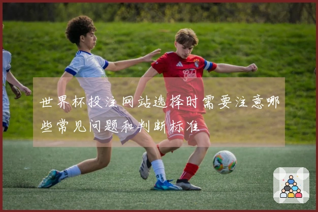 世界杯投注网站选择时需要注意哪些常见问题和判断标准