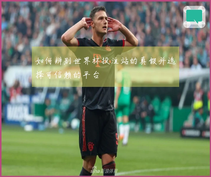 如何辨别世界杯投注站的真假并选择可信赖的平台
