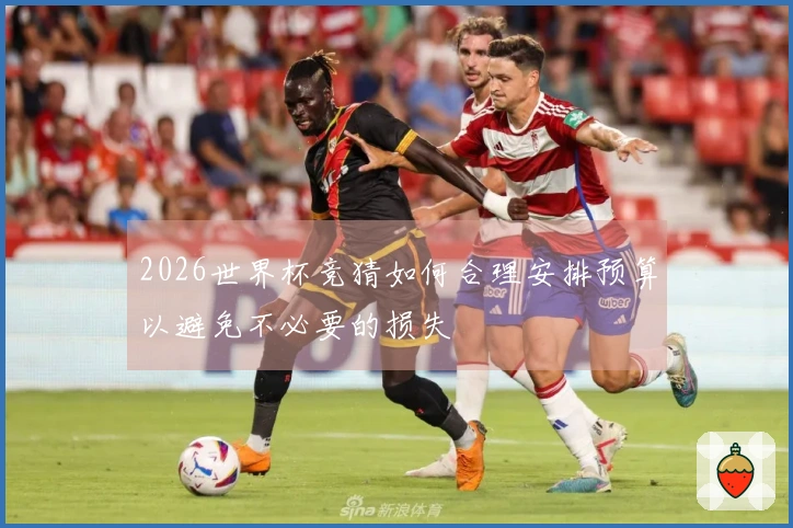 2026世界杯竞猜如何合理安排预算以避免不必要的损失