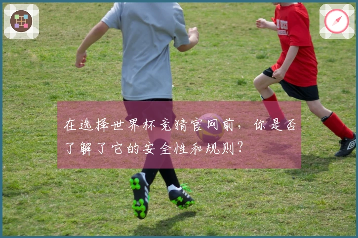 在选择世界杯竞猜官网前,你是否了解了它的安全性和规则?