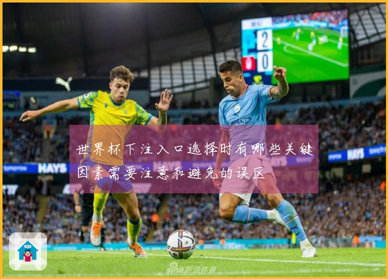 世界杯下注入口选择时有哪些关键因素需要注意和避免的误区