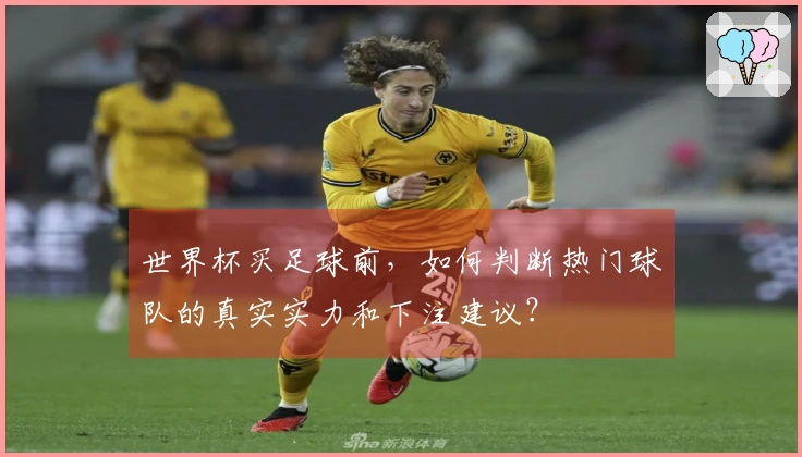 世界杯买足球前，如何判断热门球队的真实实力和下注建议？